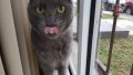 IMG-20171228-WA0018.jpg