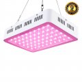 300w LED grow light.jpg