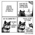 apex.jpg
