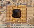 microp442.jpg