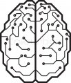 11359702-cyber-brain.jpg