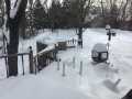 IMG_4429.JPG