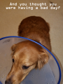 Charlotte Cone1.png