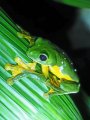 20180303_154914.jpg