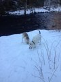 IMG_6828.JPG IMG_6828.JPG