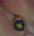 20180311_195433.jpg