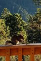 IMG-20180317-WA0012.jpg