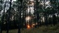 IMG-20180318-WA0020.jpg
