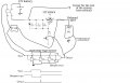 66b660bd-2c53-4ac3-8787-f69bcd0a8e9d (2).jpeg