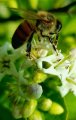 IMG-20180401-WA0016.jpg