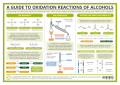 Oxidation-Reactions-of-Alcohols.png