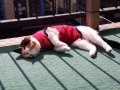 20180422_143920.jpg 20180422_143920.jpg