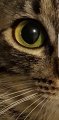 IMG-20180422-WA0002.jpg IMG-20180422-WA0002.jpg