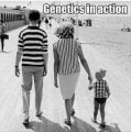 Genetics-in-action.jpeg