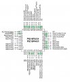 TOGGLING PINS.jpg