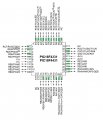 TOGGLING PINS.jpg