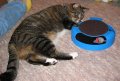 IMG_1197.jpg IMG_1197.jpg