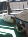 20180628_122514.jpg
