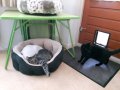 20180524_065322.jpg
