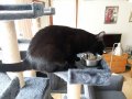 20180622_094229.jpg