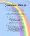 rainbow-bridge-poem.jpg
