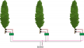Trees1.png
