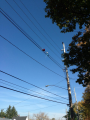 Power Line Balloons.png Power Line Balloons.png