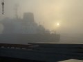 Niebla Dock Sud 2.JPG
