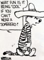 89123faf0768ddc61cfc1a6e21270055--calvin-and-hobbes-quotes-calvin-hobbes.jpg