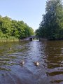 20180803_125344_HDR.jpg