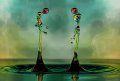 622fc800-927e-11e3-a2b8-2df970df05d7_twobytwo_Stunning_Liquid_Drops_002.jpg