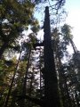 20180902_160818.jpg