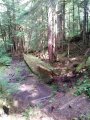 20180902_133911.jpg