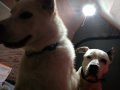 20180901_205809.jpg