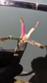 20180929_110504.jpg