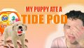 download.jpeg