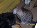 100_1479.JPG