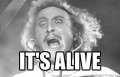 its-alive-content.jpg