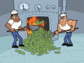 giphy1.gif