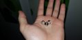10 mm metal cases.jpg 10 mm metal cases.jpg