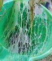 20181225_120814.jpg