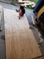20181118_144615.jpg