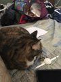 I\'m confiscating this.....jpg