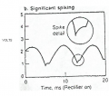 rectifier spike.png