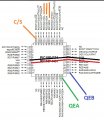 QEI PIC.jpg