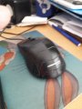 mouse.jpg
