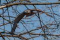 Y7D_0645.jpg