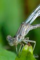 Y7D_2764-2.jpg