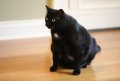 2017-08-27_10-44-34_710.jpeg