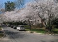 s IMG_4081.jpg
